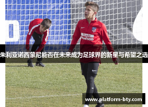 朱利亚诺西蒙尼能否在未来成为足球界的新星与希望之选 朱利亚诺西蒙尼能否在未来成为足球界的新星与希望之选