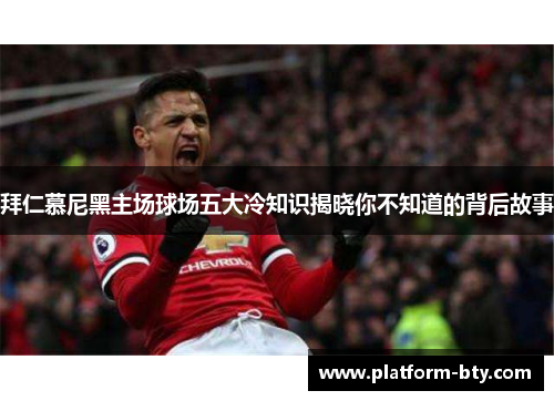 拜仁慕尼黑主场球场五大冷知识揭晓你不知道的背后故事