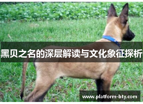 黑贝之名的深层解读与文化象征探析